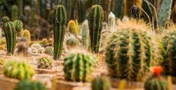 images (3)
